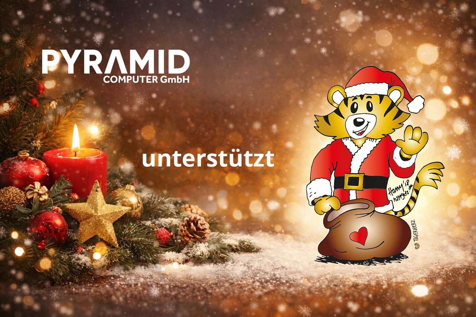 Pyramid Computer makes a donation o Tiger Heart